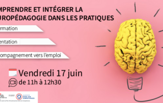 Illustration de l'article : Comprendre et intégrer la neuropédagogie dans les pratiques de formation, d'orientation et d'accompagnement vers l'emploi — Gip