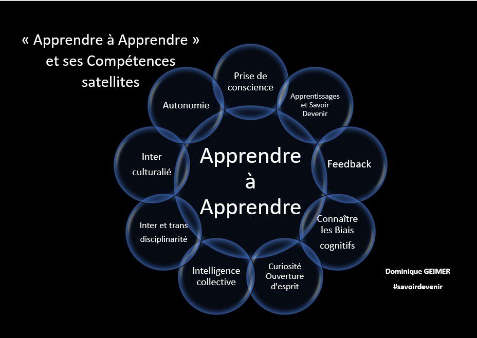 comment-les-softskills-ne-sauraient-etre-envisagees-separement-apprendre-a-apprendre-savoirdevenir