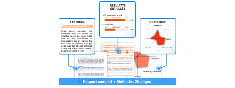 Central Q.E. – Quotient émotionnel — Thot Cursus