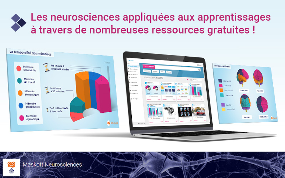 Neurosciences et apprentissages : des ressources pour apprendre à apprendre — Ludomag