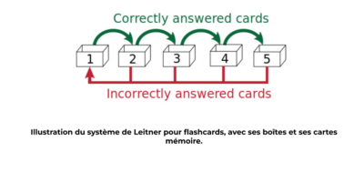 consolidation-memorielle-la-repetition-espacee-et-expansee-tiny-coaching