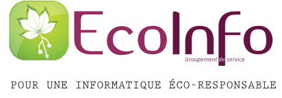 Le vrai coût énergétique du numérique — EcoInfo