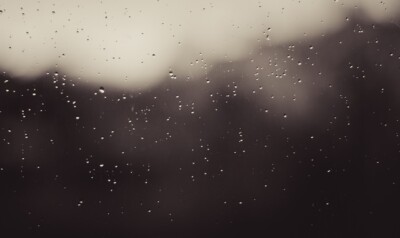 19-septembre-digital-113-organise-une-formation-sur-le-label-numerique-responsable-touleco