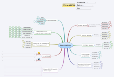 une-carte-mentale-pour-evaluer-vos-cours-formation-3-0
