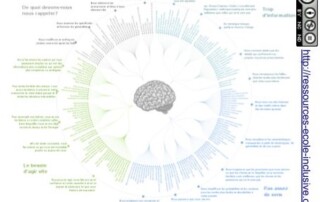 Illustration de l'article : Que sont les biais cognitifs ? — Fabrice PASTOR (Linkedin)
