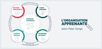 organisation-apprenante-et-si-le-secret-etait-lequipe-blog-ifcam
