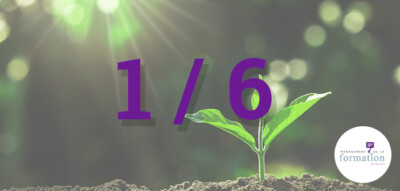 chaque-annee-1-formation-sur-6-est-une-formation-verte-management-de-la-formation