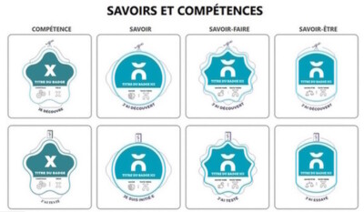 les-open-badges-en-experimentation-au-cnam-pays-de-la-loire-cnam