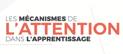 quelques-recommandations-pour-gerer-lattention-de-nos-apprenants-sydologie