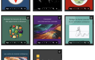 Illustration de l'article : Livres blancs sur le tutorat à distance — Blog de T@D