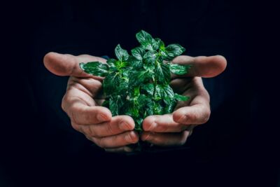 leco-conception-de-la-formation-comment-concilier-developpement-des-competences-et-responsabilite-environnementale-xos