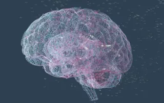 Illustration de l'article : Les révolutions de l'intelligence — Épisode 1/5 : Qu'est-ce que l'intelligence ? — France Inter, le code à changé