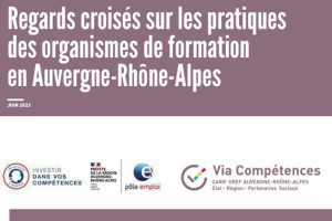 Regards croisés sur les pratiques des organismes de formation en Auvergne-Rhône-Alpes — Centre Inffo