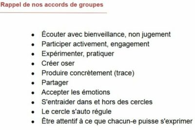 retour-sur-la-formation-hybride-co-apprendre-a-etre-facilitateur-dans-son-organisation