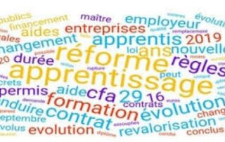 Illustration de l'article : Le Gouvernement est conscient de la complexité du système de régulation budgétaire de l'apprentissage qui ne favorise pas une p