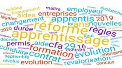 le-gouvernement-est-conscient-de-la-complexite-du-systeme-de-regulation-budgetaire-de-lapprentissage-qui-ne-favorise-pas-une-previsibilite-et-une-stabilite-optimale-pour-le-developpement-de-l