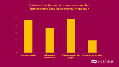 quelle-est-la-qualite-du-tutorat-en-entreprise