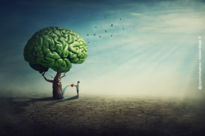 les-biais-cognitifs-mecanismes-sous-jacents-et-enjeux