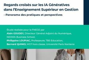 Illustration de l'article : Etude Fnege IA 2024