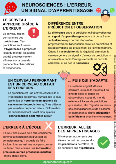 role-de-lerreur-selon-les-neurosciences