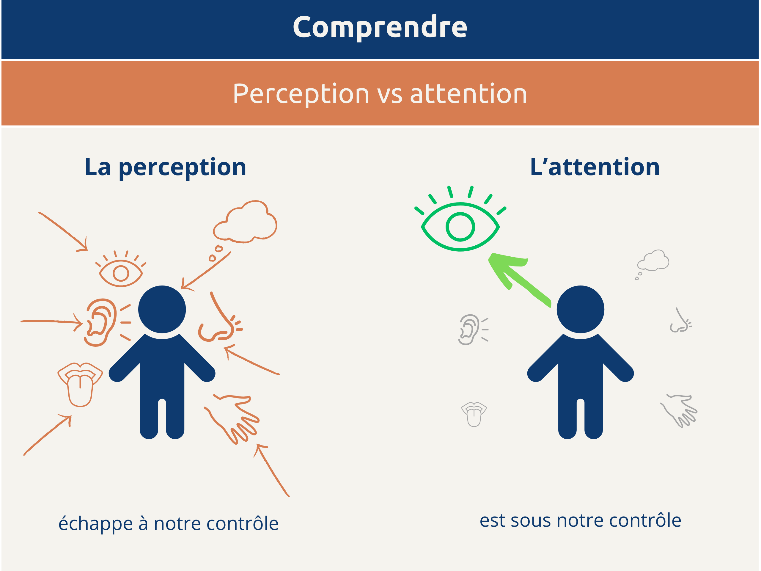 lattention-ca-sapprend