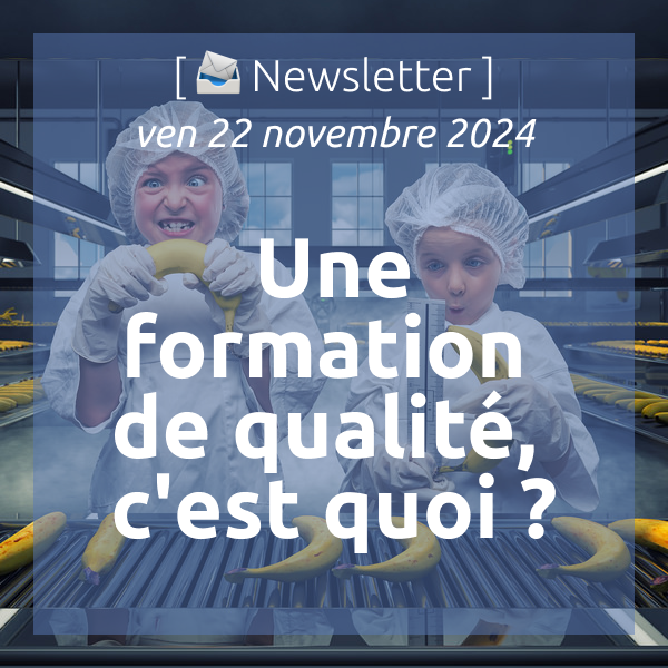 [📣Newsletter] 22/11/2024 Une formation de qualité, c’est quoi ?