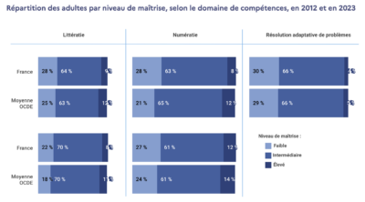 competences-des-adultes-en-2023-quelle-maitrise-de-la-recherche-et-de-lutilisation-des-informations-a-lere-du-numerique