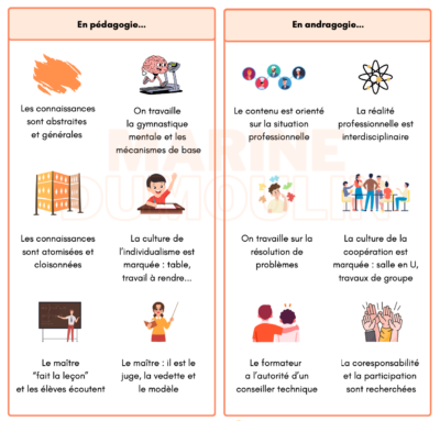 les-differences-pedago-vs-andrago