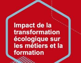 Illustration de l'article : Transformation écologique : impact sur les métiers et la formation