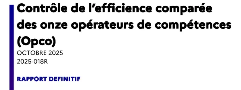 les-opco-gerent-77-milliards-chaque-annee-et-pourtant-leur-plus-grand-chantier-reste-a-faire-creer-de-la-valeur