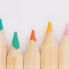 Design écosystémique : de la théorie à la pratique – Lilian Ricaud