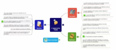 une-evaluation-formative-avec-une-carte-mentale