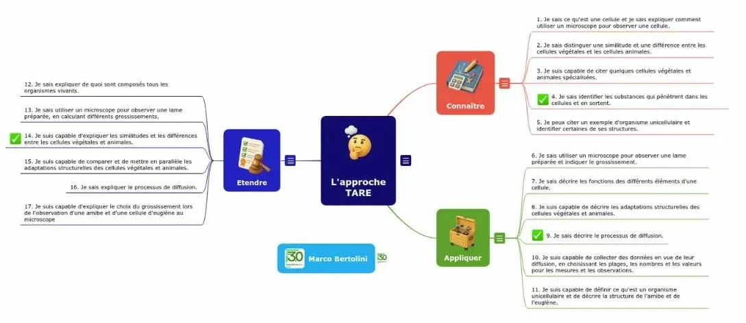 Une évaluation formative avec une carte mentale